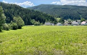 Gewerbe Bauland für Bauträger provisionsfrei 8674 Rettenegg