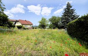 Wohnen Die Donau im Blick 3400 Klosterneuburg