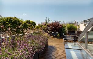Wohnen Wohnung 107m² & Dachterrasse mit Whirlpool mitten in der Innenstadt | TOP LAGE 1010 Wien Wohnen Wohnung 107m² & Dachterrasse mit Whirlpool mitten in der Innenstadt | TOP LAGE 1010 Wien