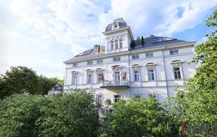 Wohnen Wohnung WIENTALBLICK | Lichtdurchflutete Wohnung in der Villa Seutter mit 4,4m Raumhöhe & Blick auf denkmalgeschützte Linde | sanierungsbedürftig | + Gartenoption 1130 Wien Wohnen Wohnung WIENTALBLICK | Lichtdurchflutete Wohnung in der Villa Seutter mit 4,4m Raumhöhe & Blick auf denkmalgeschützte Linde | sanierungsbedürftig | + Gartenoption 1130 Wien