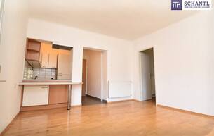 Wohnen Wohnung TOLLE GELEGENHEIT! 2 PARKPLÄTZE!Ein Schatz in Mariatrost: ruhig, charmant, bezugsbereit. 8043 Graz Wohnen Wohnung TOLLE GELEGENHEIT! 2 PARKPLÄTZE!Ein Schatz in Mariatrost: ruhig, charmant, bezugsbereit. 8043 Graz