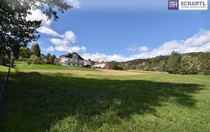 Wohnen Ihr Traumhaus wird Realität: Idyllisches Baugrundstück in Bad Gams mit sonniger Südausrichtung, allen Anschlüssen und ruhiger, naturnaher Wohnlage 8524 Bad Gams