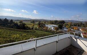 Wohnen Häuser Helles Reihenhaus mit Fernblick und 2 Stellplätzen 2102 Bisamberg