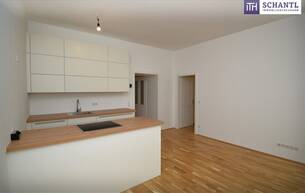 Wohnen Wohnung ++ ZUKUNFTSVORSORGE++ Top sanierte Wohnung in ruhiger Seitengasse + befristet vermietet + Stellplatz 1060 Wien