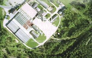 Anlage Lager Großzügiges Gewerbegrundstück - Ihre Chance ! Share - Deal - Möglich ! 3871 Alt-Nagelberg