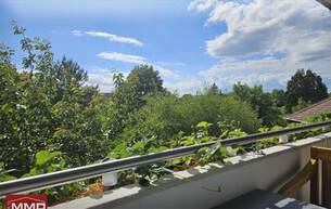 Wohnen Wohnung *NEUER PREIS* - TRAUMHAFTE DACHGESCHOSSWOHNUNG MIT LOGGIA IN LANGENZERSDORF 2103 Langenzersdorf