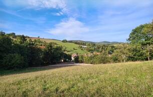 Anlage ***OPTIMALE GELEGENHEIT! GRUNDSTÜCK MIT 14.641m², DAVON 2.359m² BAULAND IM IRENENTAL!*** 3011 Irenental