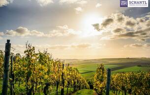 Gewerbe Häuser Exklusiv! Besondere Anwesen in der wunderschönen Südsteiermark – Ihr Rückzugsort mit Charme, Komfort und einen unvergleichbarem Flair! 8462 Gamlitz