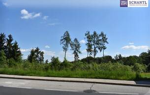 Anlage Wunderbares Bauträgergrundstück in Bestlage Nähe 8301 Laßnitzhöhe 8301 Laßnitzhöhe