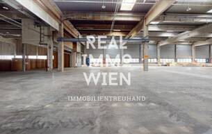 Gewerbe Lager Großzügiges Lager mit Freifläche in zentraler Lage von Traiskirchen - ideal für Industrie und Gewerbe. 2514 Traiskirchen Gewerbe Lager Großzügiges Lager mit Freifläche in zentraler Lage von Traiskirchen - ideal für Industrie und Gewerbe. 2514 Traiskirchen