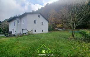 Wohnen Häuser NEU AM MARKT: Wohnhaus am Waldrand 3394 Aggsbach-Dorf