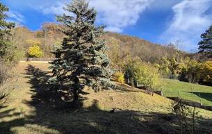 Wohnen Häuser Renovierungsbedürftiges Einfamilienhaus auf 2.391 m² Eigengrund 2103 Langenzersdorf