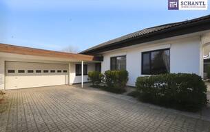Anlage Villa Traumhafter Bungalow mit Indoor-Pool, Weinkeller & großem Garten auf Eigengrund 2230 Gänserndorf