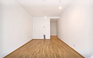 Gewerbe Wohnung THE TEMPTATION - Gewerbliche Apartments- Nahe AKH 1180 Wien