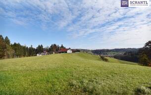 Anlage Ihr Premium-Bauplatz in idyllischer Lage – Grundstücke ab 850 m² - Nähe Lannach & St. Josef Oisnitz 8503 Lannach