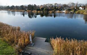 Wohnen Häuser Seltene Gelegenheit: charmantes Kleingartenhaus mit Seezugang 2103 Langenzersdorf
