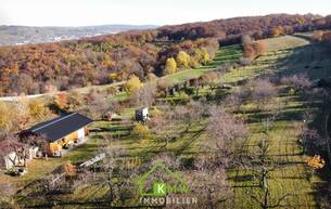 Gewerbe Obstbau Unternehmen - landwirtschaftlicher Betrieb in der Wachau 3512 Unterbergern