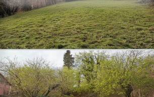 Wohnen Verwirklichen Sie Ihre Träume - traumhaftes Baugrundstück in Graz – mit 0,3 - 0,6 Baudichte auch perfekt für Bauträger! 8052 Graz,15.Bez.:Wetzelsdorf