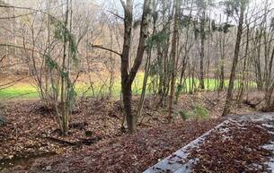 Wohnen Reihen/Doppelhaus ***PURE IDYLLE! EXKLUSIVE HAUSHÄLFTE DIREKT AM STEINBACH!*** 3001 Mauerbach