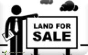 Gewerbe ca. 10.500m² Betriebsbaugrund zu kaufen 2201 Gerasdorf bei Wien