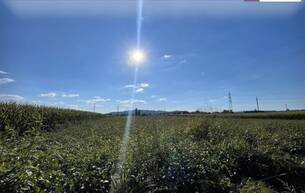 Gewerbe TOLLE GELEGENHEIT! Gewerbegrundstück für SIE - GEWERBEGRUNDSTÜCK 0,3 - 2,0 Dichte mit direkter Nähe zur Autobahn und zur Eisenbahn! 8431 Gralla