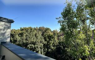 Wohnen Wohnung Helle DG-Wohnung mit Terrasse & Grünblick | 1220 Wien | Erstbezug 1220 Wien, Donaustadt / Wien 22., Donaustadt