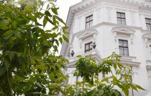 Wohnen Wohnung Ein JUWEL im Zentrum Wiens – Stil, Luxus und Lage in Perfektion 1010 Wien Wohnen Wohnung Ein JUWEL im Zentrum Wiens – Stil, Luxus und Lage in Perfektion 1010 Wien