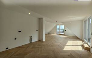 Anlage Wohnung Modernes Penthouse mit 5!!! Sonnenterrassen *Erstbezug *Deckenkühlung *Wasser-Wasser-Wärmepumpe *geräumige Wohnküche *exklusive und stylische Ausstattung *schlüsselfertig 1220 Wien