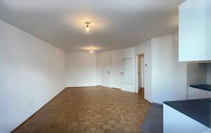 Wohnen Wohnung Garçonnièrein zentraler Lage Nähe Bahnhof Spittelau 1190 Wien