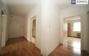Anlage Wohnung BESTE LAGE IN GRAZ! Großzügige Anlegerwohnung mit Altmieter in Grazer Bestlage – attraktives Entwicklungspotenzial! 8010 Graz