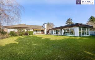Anlage Villa Bungalow mit Indoor-Pool, Weinkeller & außergewöhnlich großem Grundstück / Eigengrund 2230 Gänserndorf