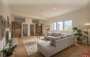 Gewerbe Wohnung Erstbezug- moderne, repräsentative 5- Zimmer- Wohnung mit Dachterrasse 3400 Klosterneuburg