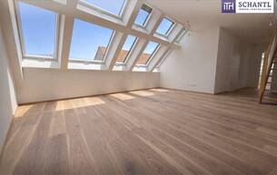 Anlage Wohnung *Frühjahrsaktion* Penthouse-Feeling im Neubau: Lichtdurchflutete 4-Zimmer-Maisonette mit außergewöhnlich großer Dachterrasse! 2514 Traiskirchen