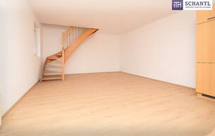 Anlage Wohnung Jetzt investieren & profitieren: Charmante Maisonette-Wohnung in Wildon – bereits vermietet! 8410 Wildon Anlage Wohnung Jetzt investieren & profitieren: Charmante Maisonette-Wohnung in Wildon – bereits vermietet! 8410 Wildon