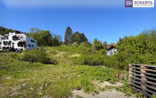 Wohnen Sonnige Liegenschaft mit Entwicklungspotenzial in Klosterneuburg 3400 Klosterneuburg