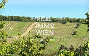 Wohnen Wohnung Stilvolle Maisonette in Top-Lage – inklusive Garten und Weinbergblick 1190 Wien