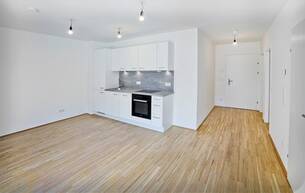 Wohnen Wohnung 1220 Wien | Pfalzgasse – Moderne Mietwohnungen in attraktiver Neubauanlage 1220 Wien Wohnen Wohnung 1220 Wien | Pfalzgasse – Moderne Mietwohnungen in attraktiver Neubauanlage 1220 Wien