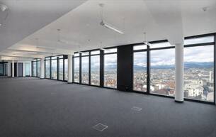 Gewerbe Büro/Praxis RIVERGATE Büros im Office Center an der Donau zu mieten 1200 Wien