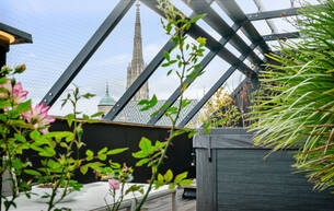 Wohnen Wohnung Über den Dächern Wiens | Penthouse mit Stephansdom-Blick | Wien zu Füßen 1010 Wien, Innere Stadt