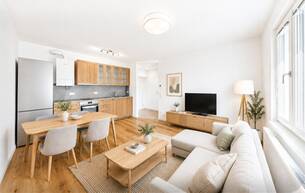 Anlage Wohnung Erstbezug nach Totalsanierung — 2 Zimmer in Grünruhelage, Döbling 1190 Wien Anlage Wohnung Erstbezug nach Totalsanierung — 2 Zimmer in Grünruhelage, Döbling 1190 Wien