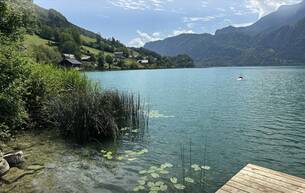 Wohnen Wohnung Ihre Traumwohnung im Naturparadies| südseitiger Garten mit großer Terrasse | bezugsbereit! 5311 Innerschwand am Mondsee / Au Wohnen Wohnung Ihre Traumwohnung im Naturparadies| südseitiger Garten mit großer Terrasse | bezugsbereit! 5311 Innerschwand am Mondsee / Au