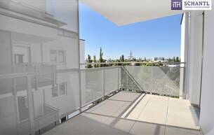 Wohnen Wohnung Welch coole Wohnung! Zwei Zimmer + Loggia + Beste Ausstattung! Jetzt Mieten! 2320 Schwechat Wohnen Wohnung Welch coole Wohnung! Zwei Zimmer + Loggia + Beste Ausstattung! Jetzt Mieten! 2320 Schwechat