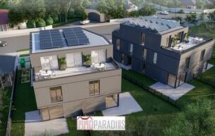 Wohnen Wohnung Willkommen in TREETOP: Naturnahes Wohnen mit Stil 2500 Baden Wohnen Wohnung Willkommen in TREETOP: Naturnahes Wohnen mit Stil 2500 Baden