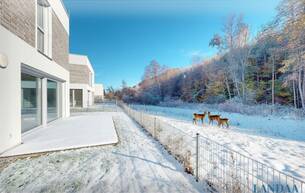 Anlage Wohnung THE TREELINE 3400 Klosterneuburg