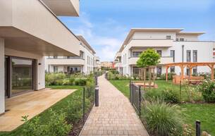 Wohnen Wohnung BELLA VITA - Mediterranes Leben in Wiener Neustadt 2700 Wiener Neustadt Wohnen Wohnung BELLA VITA - Mediterranes Leben in Wiener Neustadt 2700 Wiener Neustadt